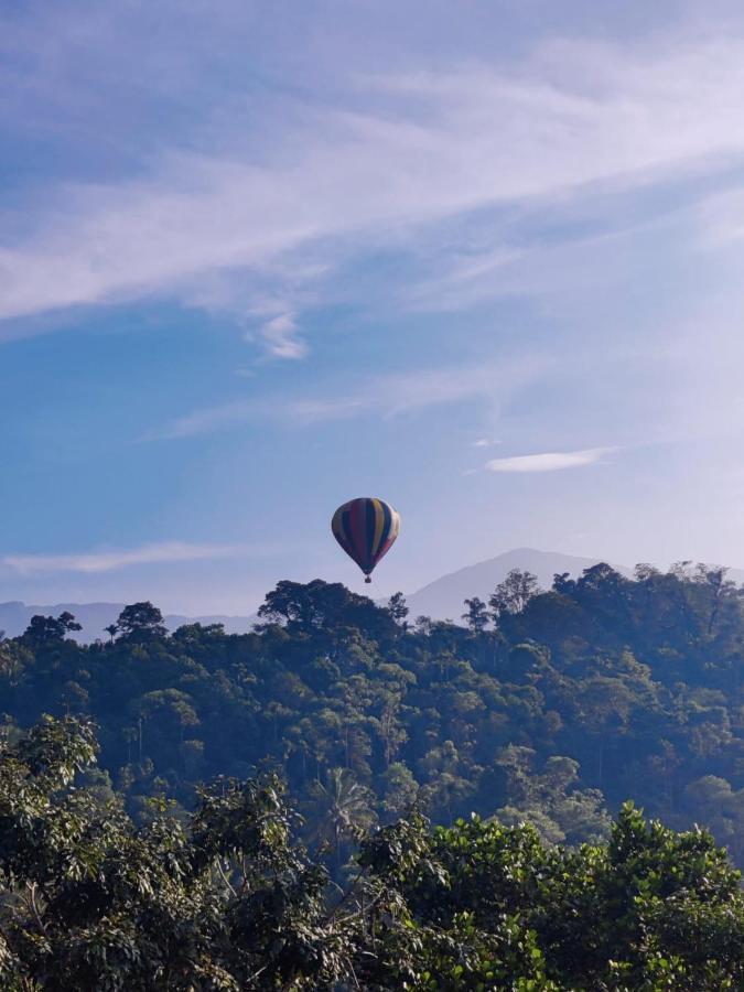 Munnar Bnb Bed and Breakfast Esterno foto