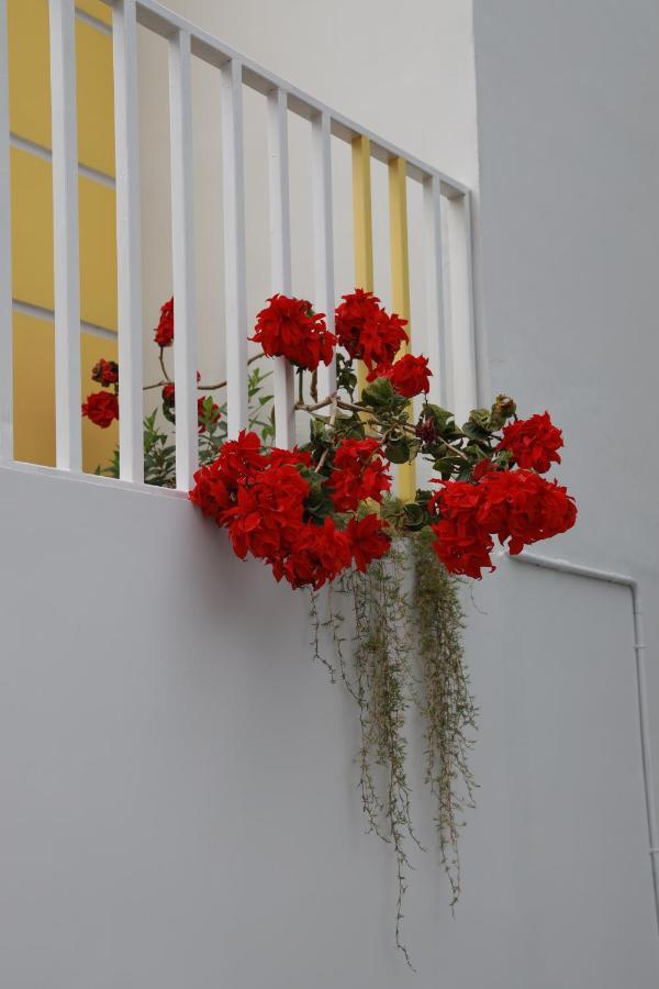 Munnar Bnb Bed and Breakfast Esterno foto